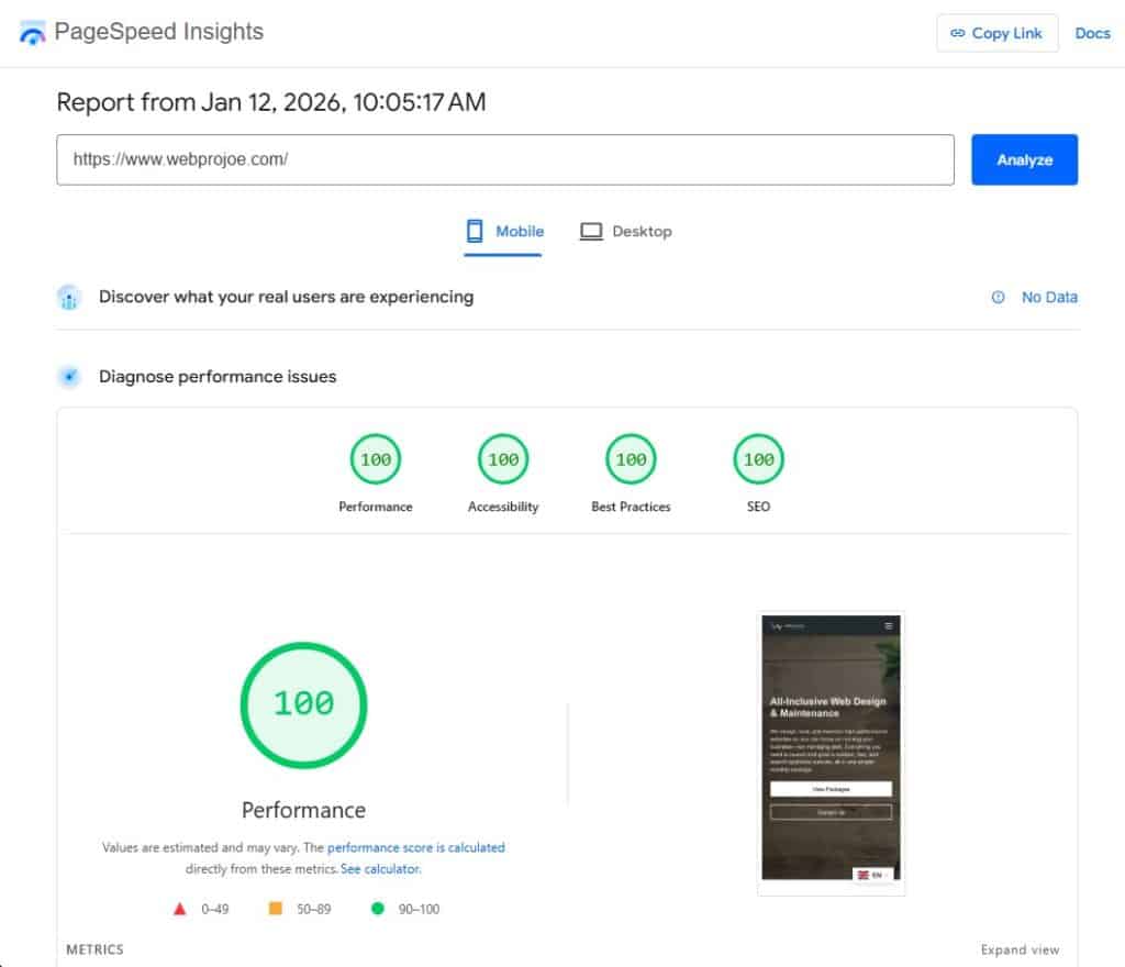 Pagespeed score of 100% of webprojoe.com